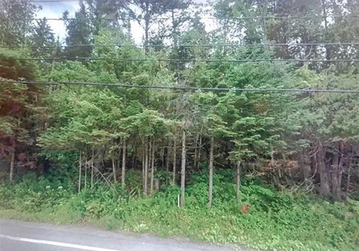 Land for sale -  Ch. Gémont, St-Adolphe d'Howard, J0T2B0