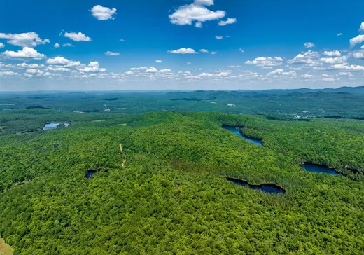 Terrain à vendre -  Mtée Fugère, Mont-Tremblant, J0T 1H0