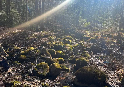 Land for Sale -  Ch. du Lac-de-l'Écluse, Val-des-Monts, J8N 1E1