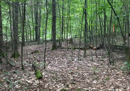 Land for Sale -  Ch. du Lac-de-l'Écluse, Val-des-Monts, J8N 1E1