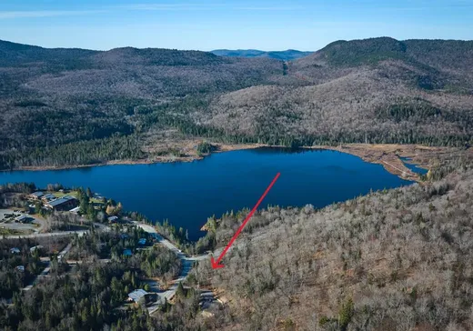 Terrain à vendre -  Ch. Fusey, St-Donat-De-Montcalm, J0T2C0