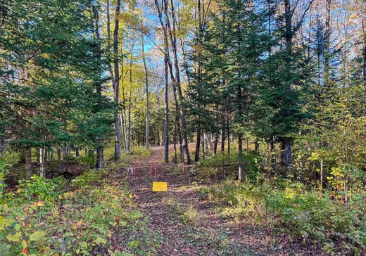Land for Sale -  Ch. de la Petite-Rivière, Harrington, J8G 2T1