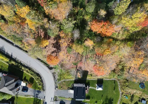 Terrain à vendre - 18 Rue des Berges, Sainte-Adèle, J8B 1B5