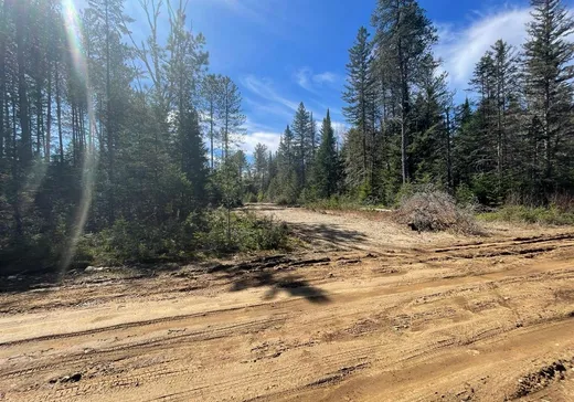 Terrain à vendre -  Ch. Lavoie, St-Remi-D'Amherst, J0T 2L0