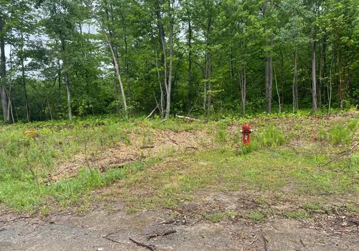 Terrain à vendre -  Boul. de l'Aéroparc, Lachute, J8H 3R8
