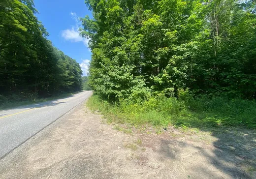 Terrain à vendre -  Ch. de la Sauvagine, Mont-Tremblant, J0T1J2