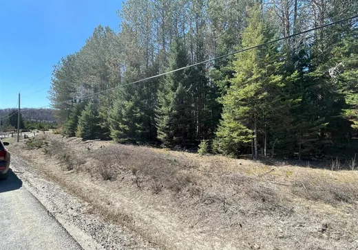 Land for Sale -  Route 117 S., Rivière-Rouge, J0T 1T0