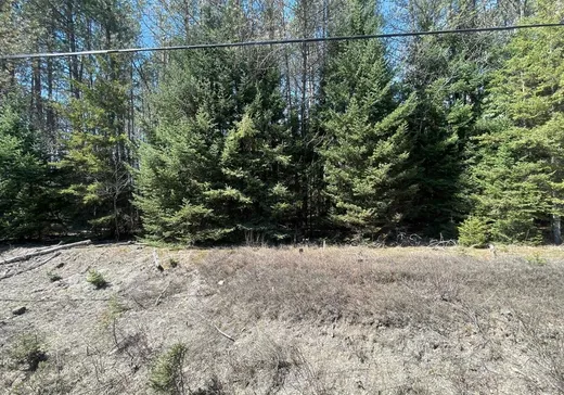 Land for Sale -  Route 117 S., Rivière-Rouge, J0T 1T0