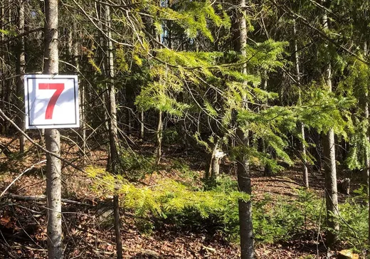 Terrain à vendre -  Rue de la Colonie, Sainte-Adèle, J8B 3G3