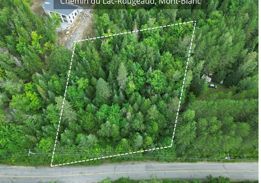 Terrain à vendre -  Ch. du Lac-Rougeaud, Mont-Tremblant, J0T1J2