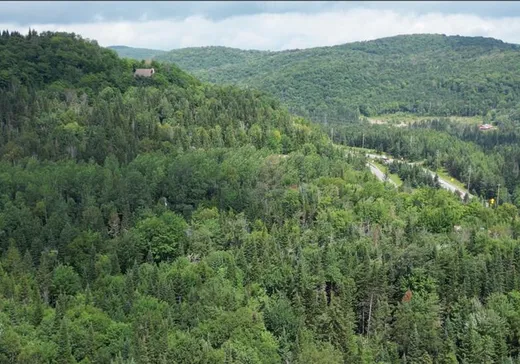 Terrain à vendre -  Ch. du Lac-Rougeaud, Mont-Tremblant, J0T 1J2