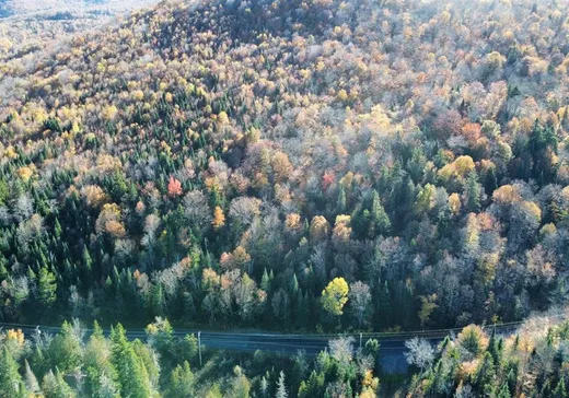 Terrain à vendre -  Ch. des Lacs, Mont-Tremblant, J0T1J2