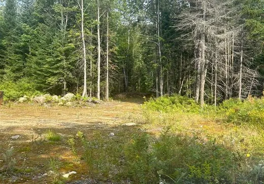 Terrain à vendre -  Route 125, St-Donat-De-Montcalm, J0T2C0