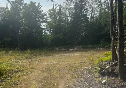 Terrain à vendre -  Route 125, St-Donat-De-Montcalm, J0T 2C0
