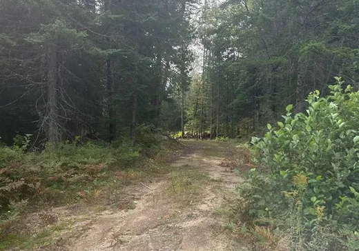 Terrain à vendre -  Route 125, St-Donat-De-Montcalm, J0T 2C0
