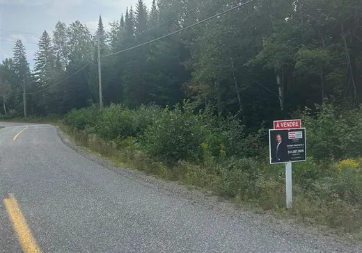 Terrain à vendre -  Route 125, St-Donat-De-Montcalm, J0T 2C0