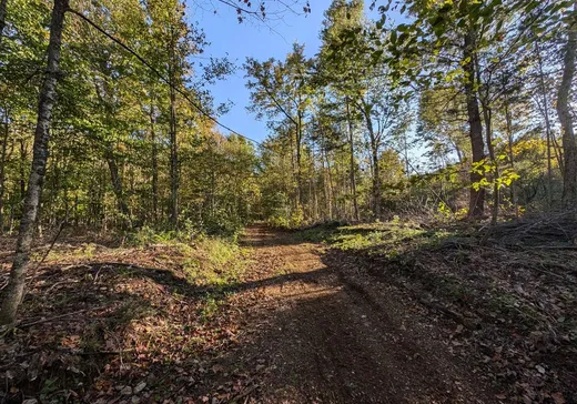 Terrain à vendre -  Ch. de la Héronnière, Grenville, J0V 1B0