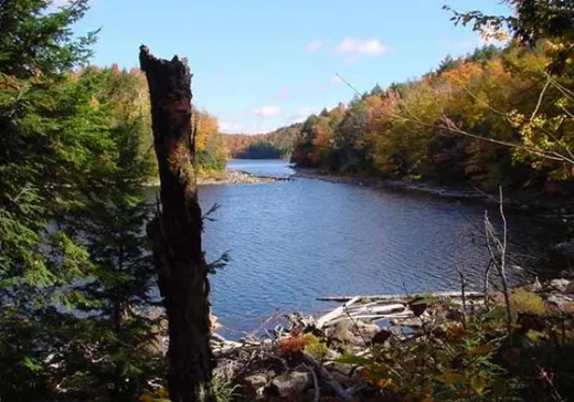 Terrain à vendre - 47B Ch. Laurier N., Wentworth, J8H0A2