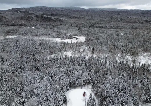 Terrain à vendre -  Ch. du Lac-Baribeau, St-Donat-De-Montcalm, J0T 2C0