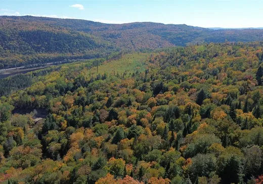 Terrain à vendre -  Ch. des Bêtes-Puantes, Trois-Rives, G0X2C0