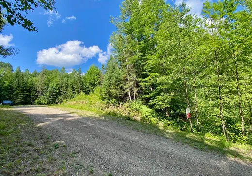 Land for Sale -  Ch. de la Maison-de-Pierre, Mont-Tremblant, J8E 1W6