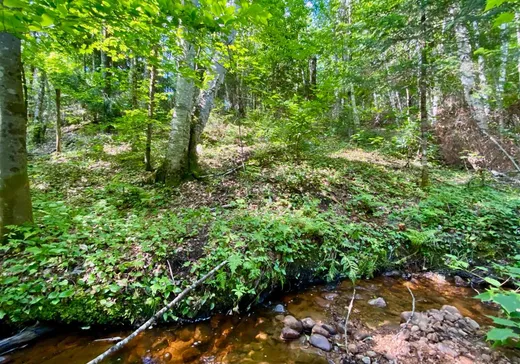 Land for Sale -  Ch. de la Maison-de-Pierre, Mont-Tremblant, J8E 1W6