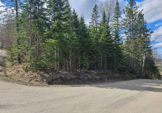 Terrain à vendre -  Ch. du Dévers, Lac Superieur, J0T 1J0