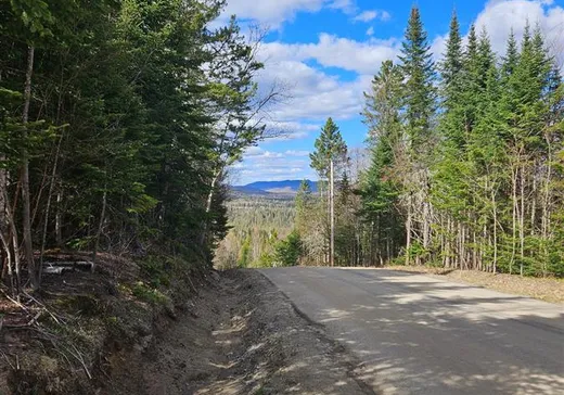 Terrain à vendre -  Ch. du Dévers, Lac Superieur, J0T 1J0