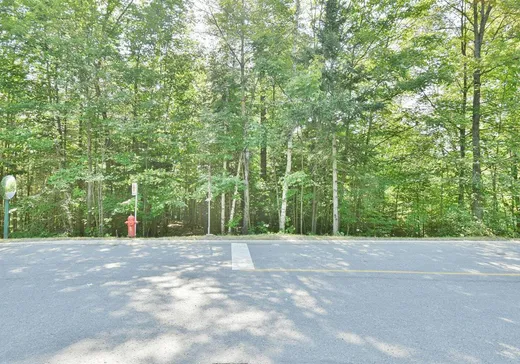 Terrain à vendre -  Ch. du Bois, Saint-Sauveur, J0R 1K0