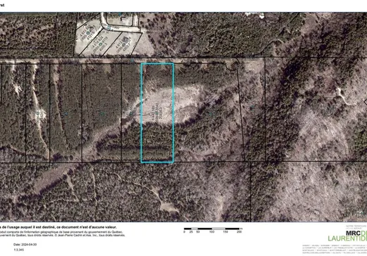 Terrain à vendre -  Ch. Lavoie, St-Remi-D'Amherst, J0T2L0