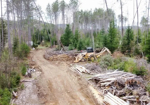 Terrain à vendre -  Ch. Lavoie, St-Remi-D'Amherst, J0T 2L0