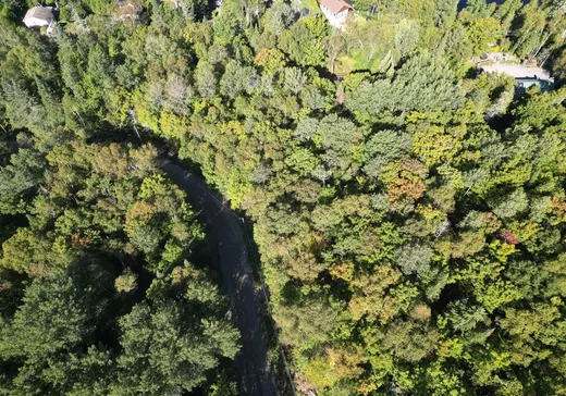 Terrain à vendre -  Ch. du Lac-de-l'Abies, Mont-Tremblant, J0T 1H0