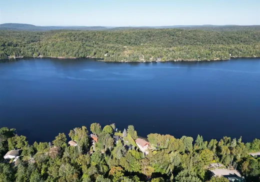 Terrain à vendre -  Ch. du Lac-de-l'Abies, Mont-Tremblant, J0T 1H0