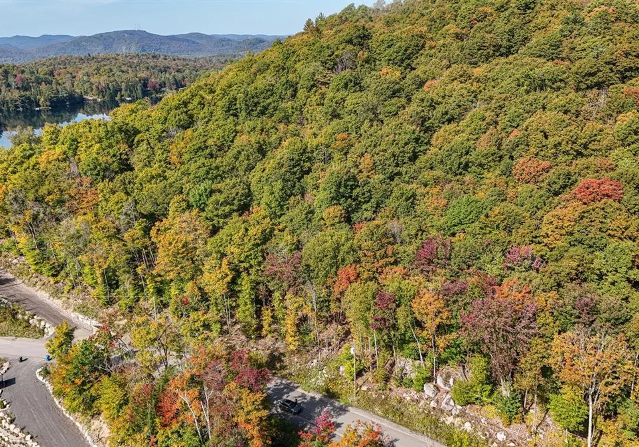 Terrain à vendre -  Rue des Arlequins, Sainte-Adèle, J8B 0G1