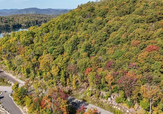 Terrain à vendre -  Rue des Arlequins, Sainte-Adèle, J8B0G1