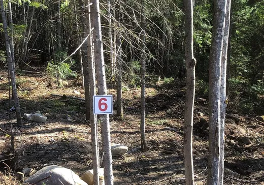 Terrain à vendre -  Rue de la Colonie, Sainte-Adèle, J8B3G3