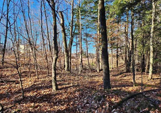 Terrain à vendre -  Rue de Düren, Lachute, J8H 1A4