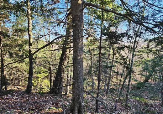 Terrain à vendre -  Rue de Düren, Lachute, J8H 1A4
