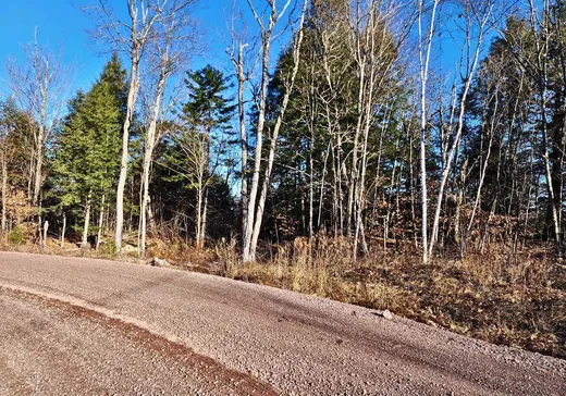 Terrain à vendre -  Rue de Düren, Lachute, J8H 1A4