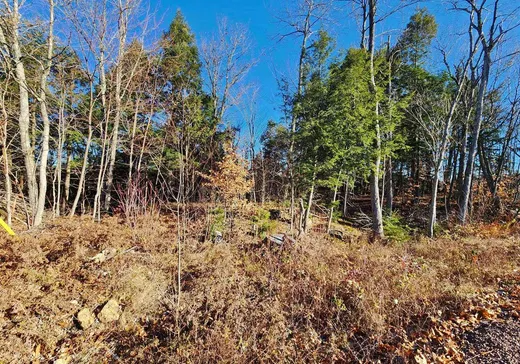 Terrain à vendre -  Rue de Düren, Lachute, J8H 1A4