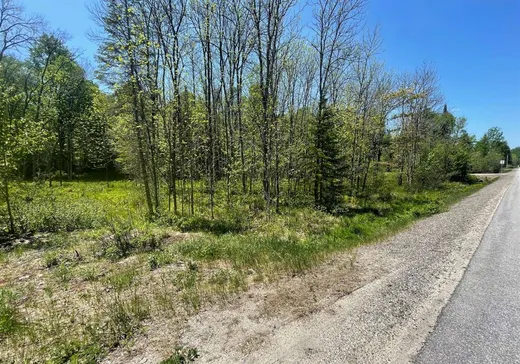 Terrain à vendre -  Route 311 S., Mont-Laurier, J0W1H0