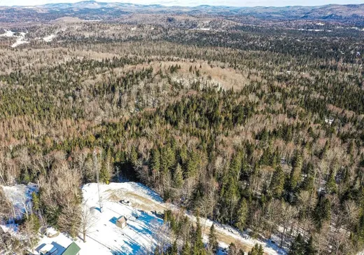 Terrain à vendre -  Ch. Bernard, Ste-Lucie, J0T 2J0