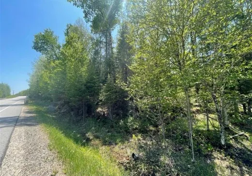 Terrain à vendre -  Route 311 S., Mont-Laurier, J0W1H0