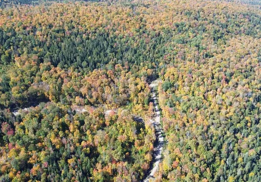 Terrain à vendre -  Ch. des Bêtes-Puantes, Trois-Rives, G0X 2C0