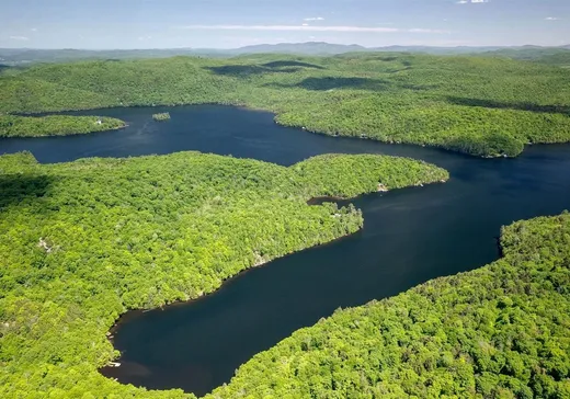 Terrain à vendre -  Lac-des-Écorces, Notre-Dame-de-la-Merci, J0T 1A0