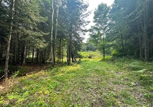 Land for sale -  Mtée du Lac-Marsan, Rivière-Rouge, J0T1T0