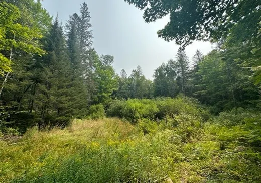 Land for Sale -  Mtée du Lac-Marsan, Rivière-Rouge, J0T 1T0