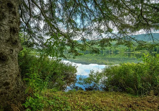 Terrain à vendre -  Route 329, St-Donat-De-Montcalm, J0T 2C0