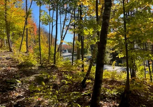 Terrain à vendre -  Rue Guy-Théorêt, Sainte-Adèle, J8B0K9