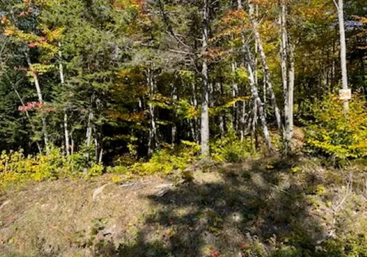Terrain à vendre -  Rue Guy-Théorêt, Sainte-Adèle, J8B 0K9